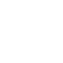 Phone Icone
